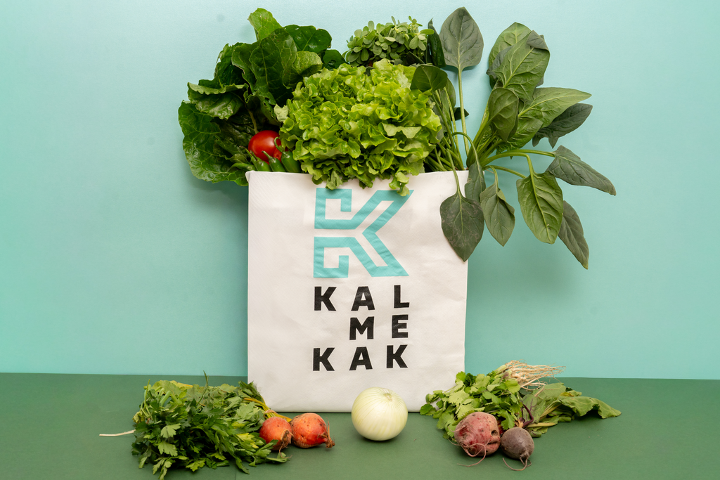 OCELOTL (Bolsa Chica) - 6 meses