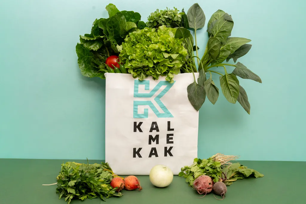 OCELOTL (Bolsa Chica) - 2 años